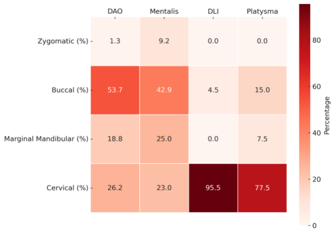 Heatmap showing percentage distribution of facial nerve branches (zygomatic, buccal, marginal mandibular, cervical) across lower facial muscles including DAO, mentalis, DLI, and platysma.